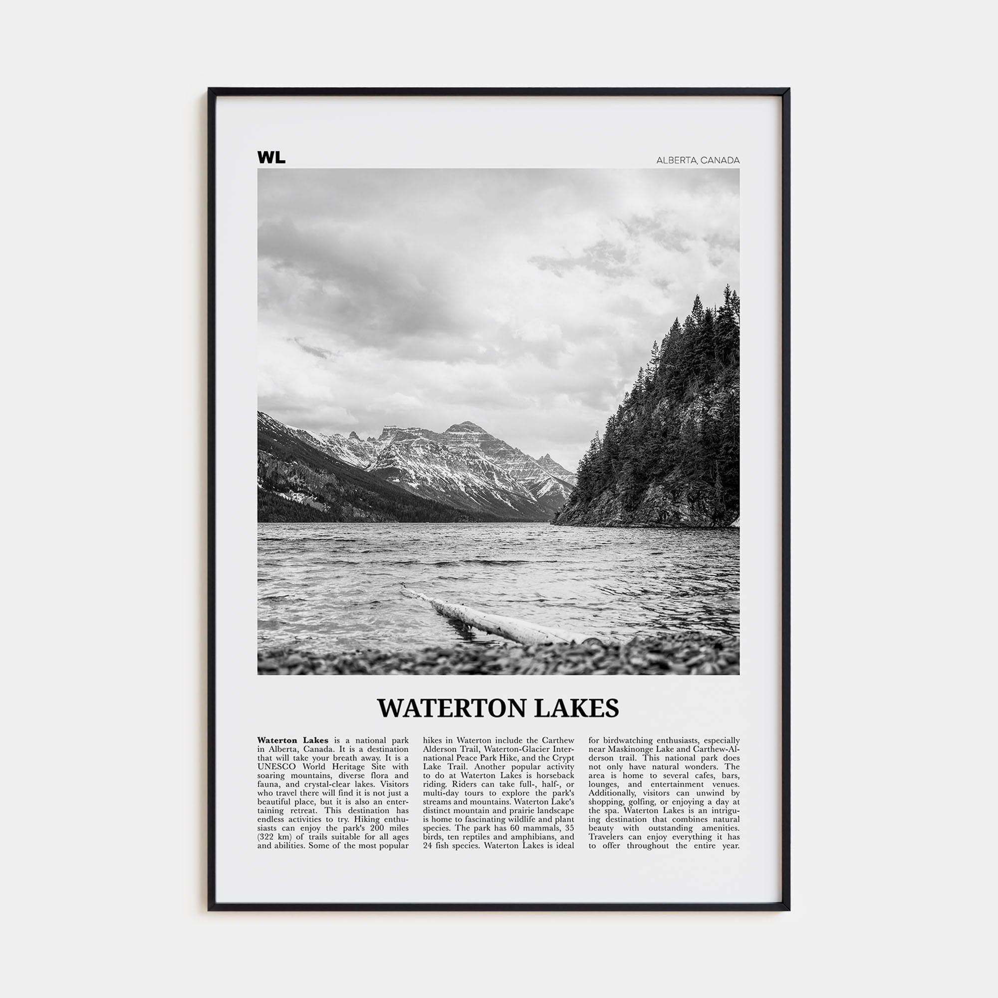 Waterton Lakes National Park Poster Black Metal / 8x12 in Nbourhood Travel B&W Poster