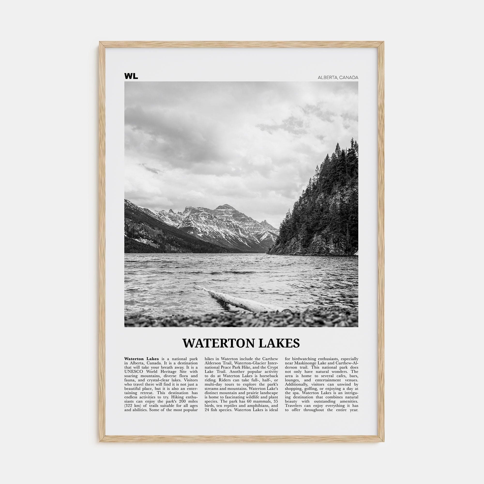 Waterton Lakes National Park Poster Natural Wood / 8x12 in Nbourhood Travel B&W Poster