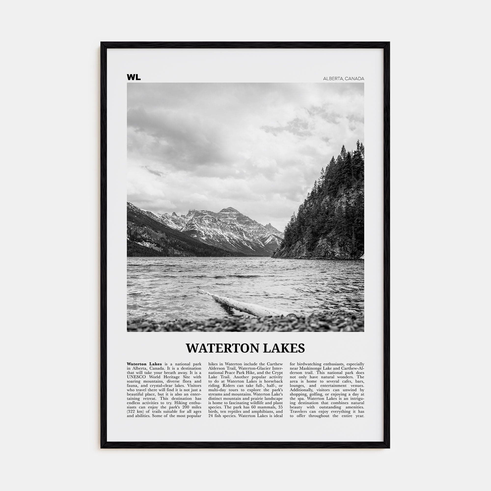 Waterton Lakes National Park Poster Black Wood / 8x12 in Nbourhood Travel B&W Poster