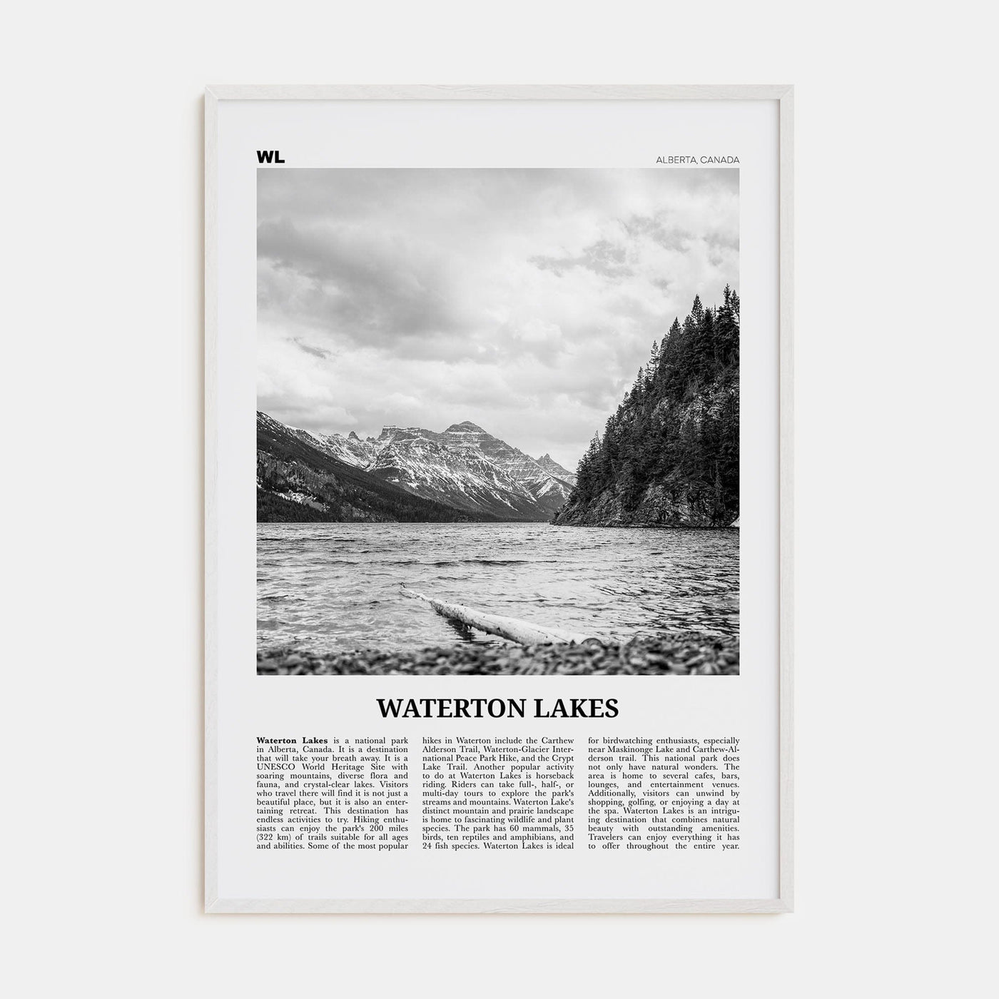 Waterton Lakes National Park Poster White Wood / 8x12 in Nbourhood Travel B&W Poster