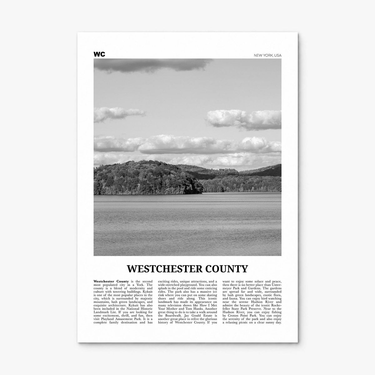 Westchester County Newspaper Poster, print only (unframed)