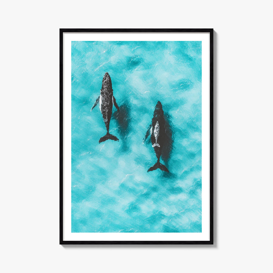 Whale no. 1 colorful photo poster – vertical wall art, unframed print shown in interior mockup