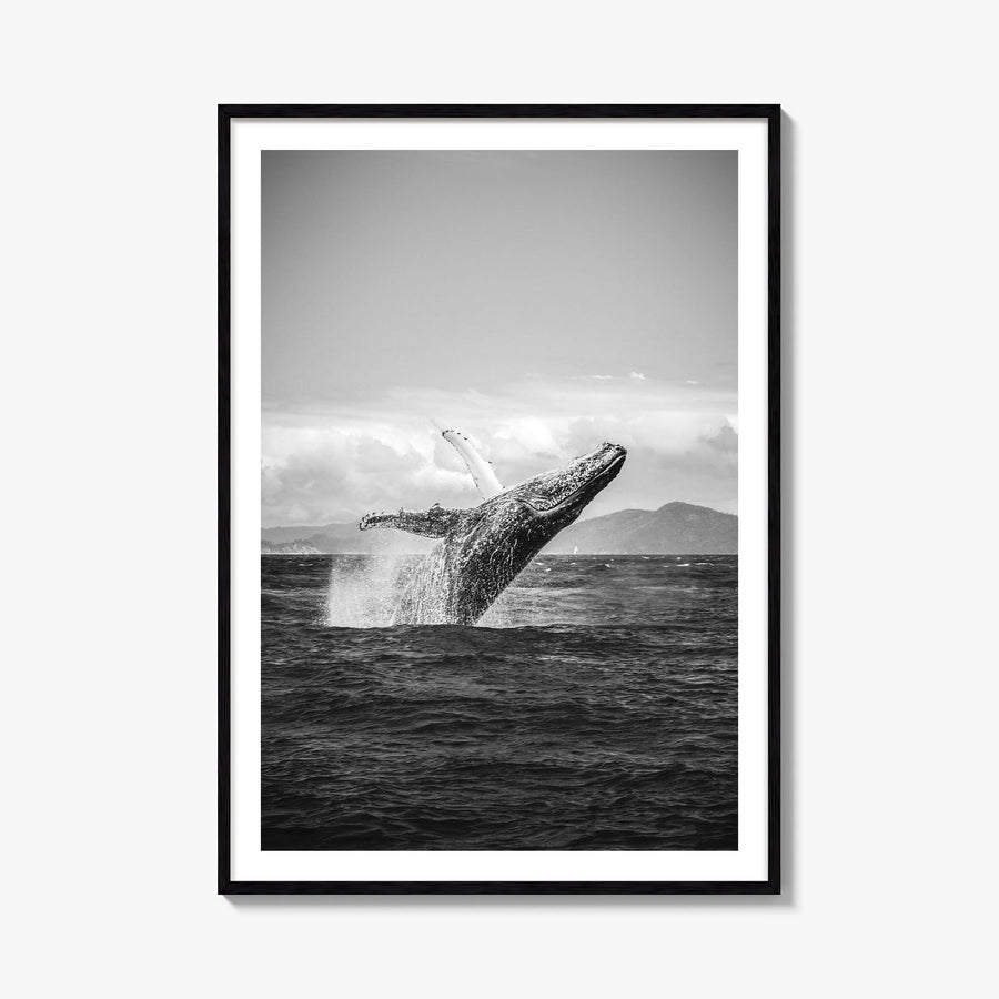 Whale no. 2 black & white photo poster – vertical wall art, unframed print shown in interior mockup