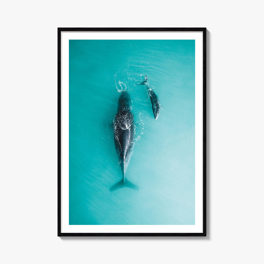 Whale no. 3 colorful photo poster – vertical wall art, unframed print shown in interior mockup