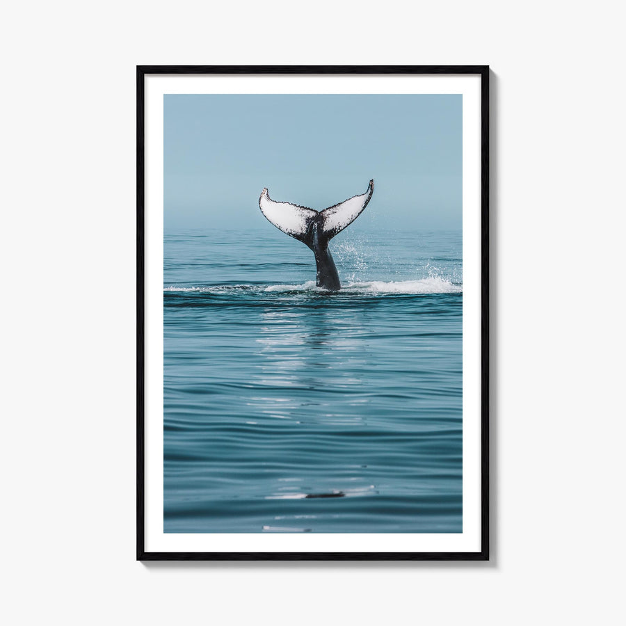 Whale no. 4 colorful photo poster – vertical wall art, unframed print shown in interior mockup