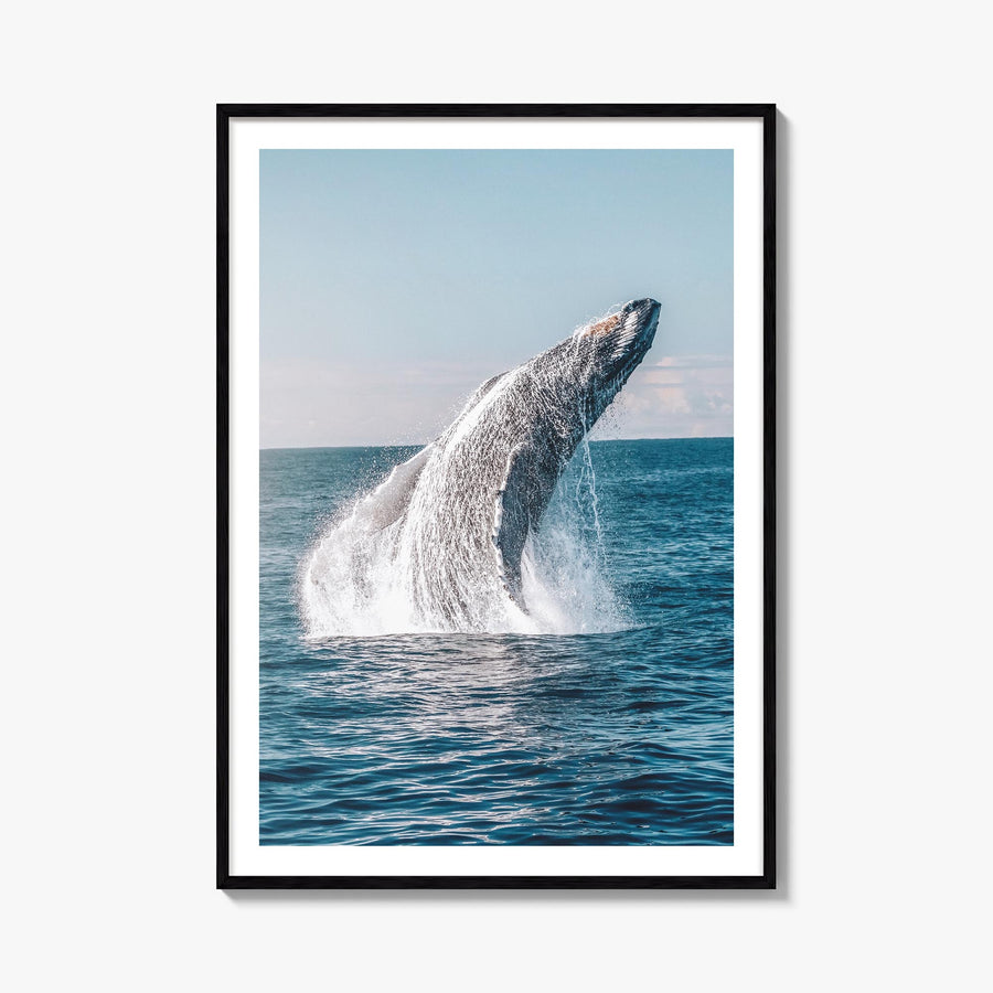 Whale no. 5 colorful photo poster – vertical wall art, unframed print shown in interior mockup