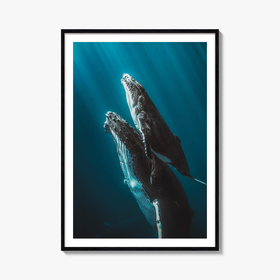 Whale no. 6 colorful photo poster – vertical wall art, unframed print shown in interior mockup