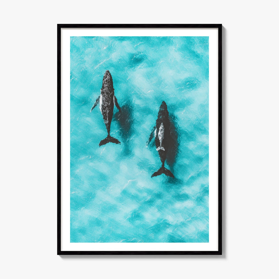 Whale Photo No 1 Poster, framed poster mockup, white border