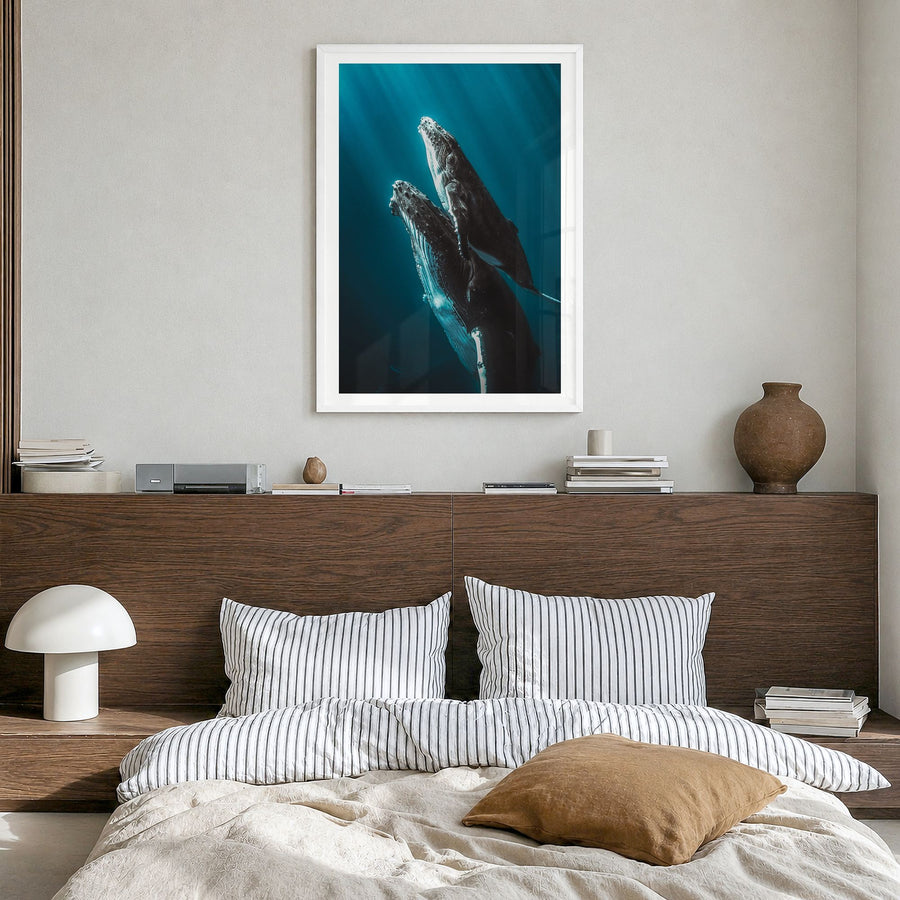 Whale Photo No 6 Poster in a white wood frame, hanging in a bedroom, white border