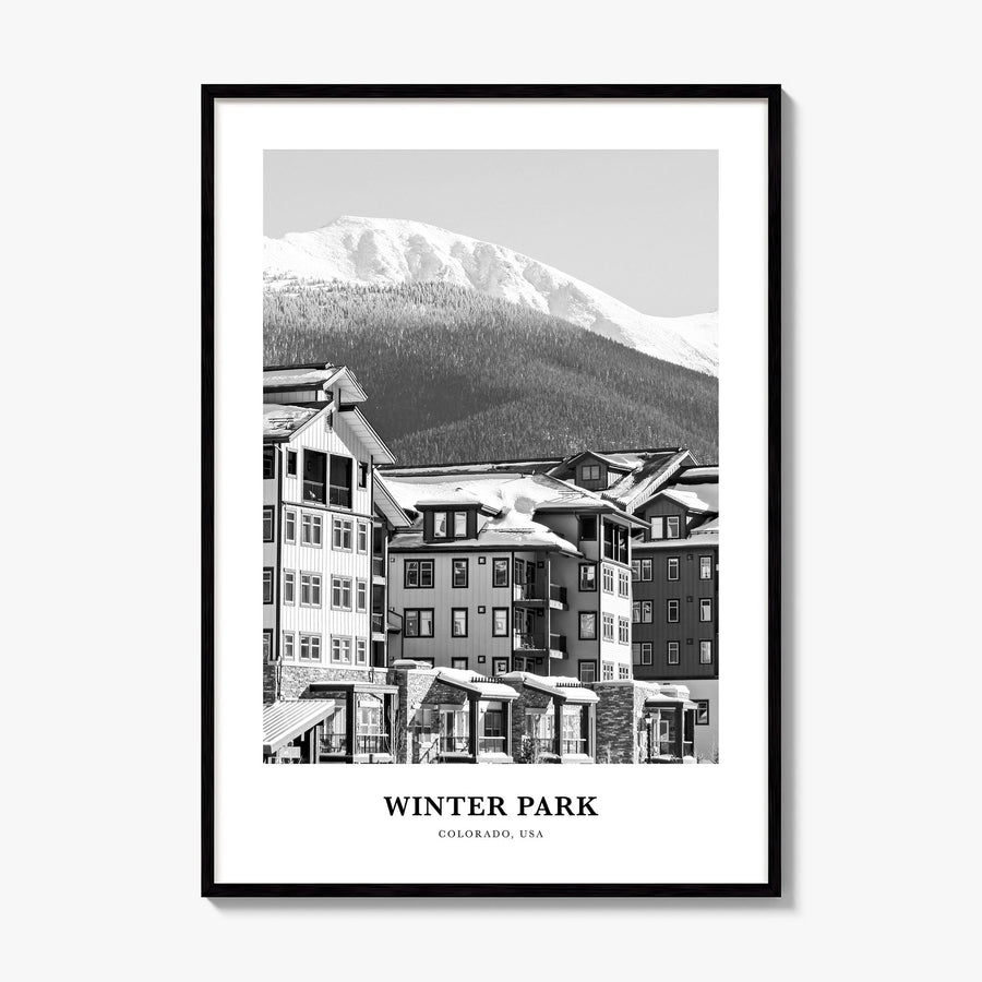 Winter Park Classic Poster, framed poster mockup