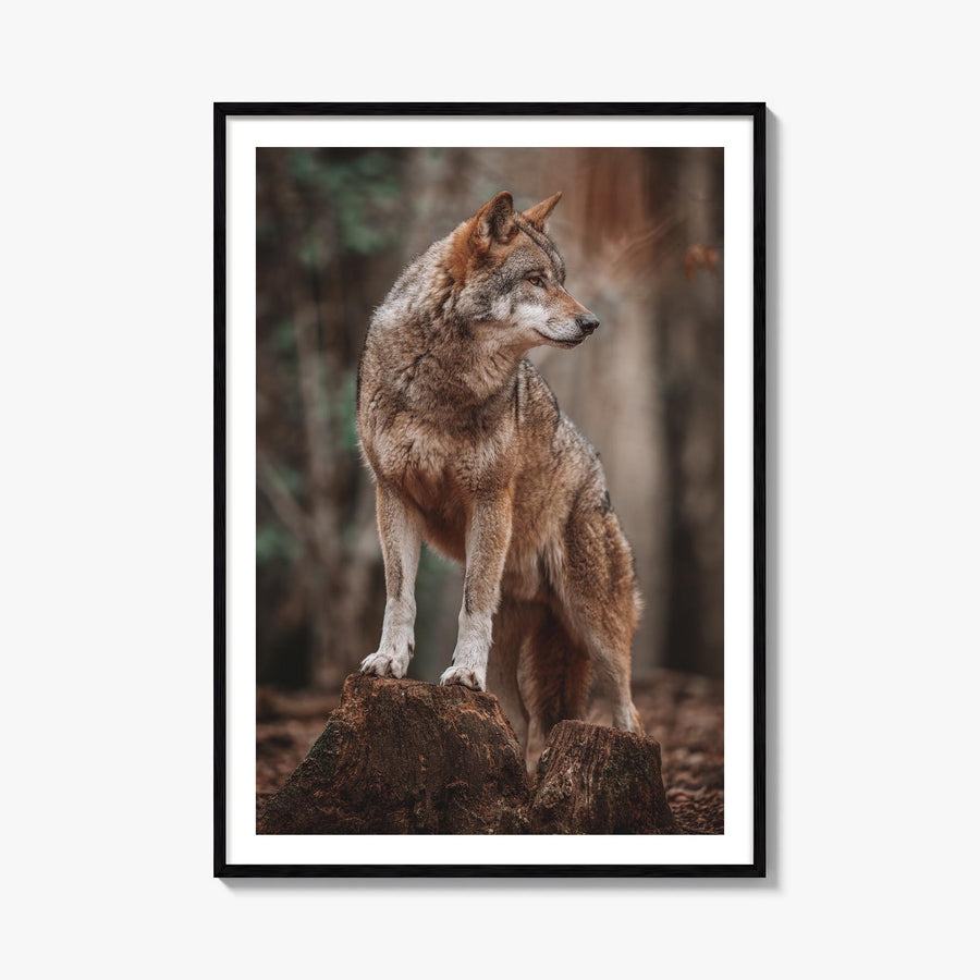 Wolf no. 1 colorful photo poster – vertical wall art, unframed print shown in interior mockup
