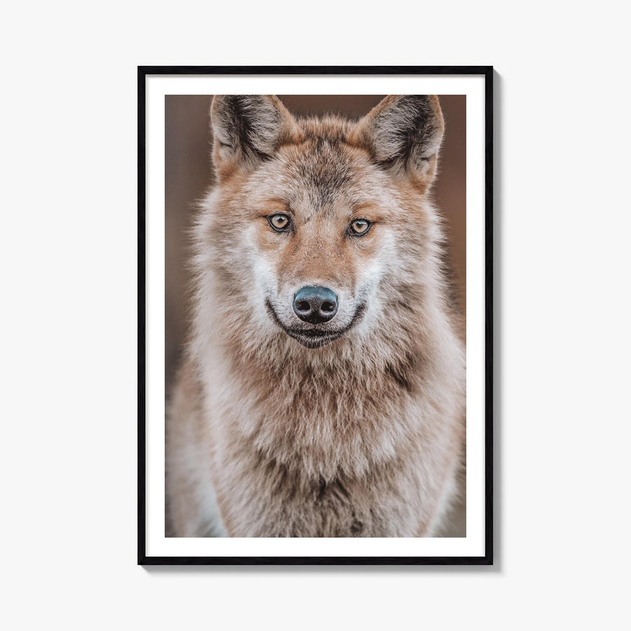 Wolf no. 2 colorful photo poster – vertical wall art, unframed print shown in interior mockup