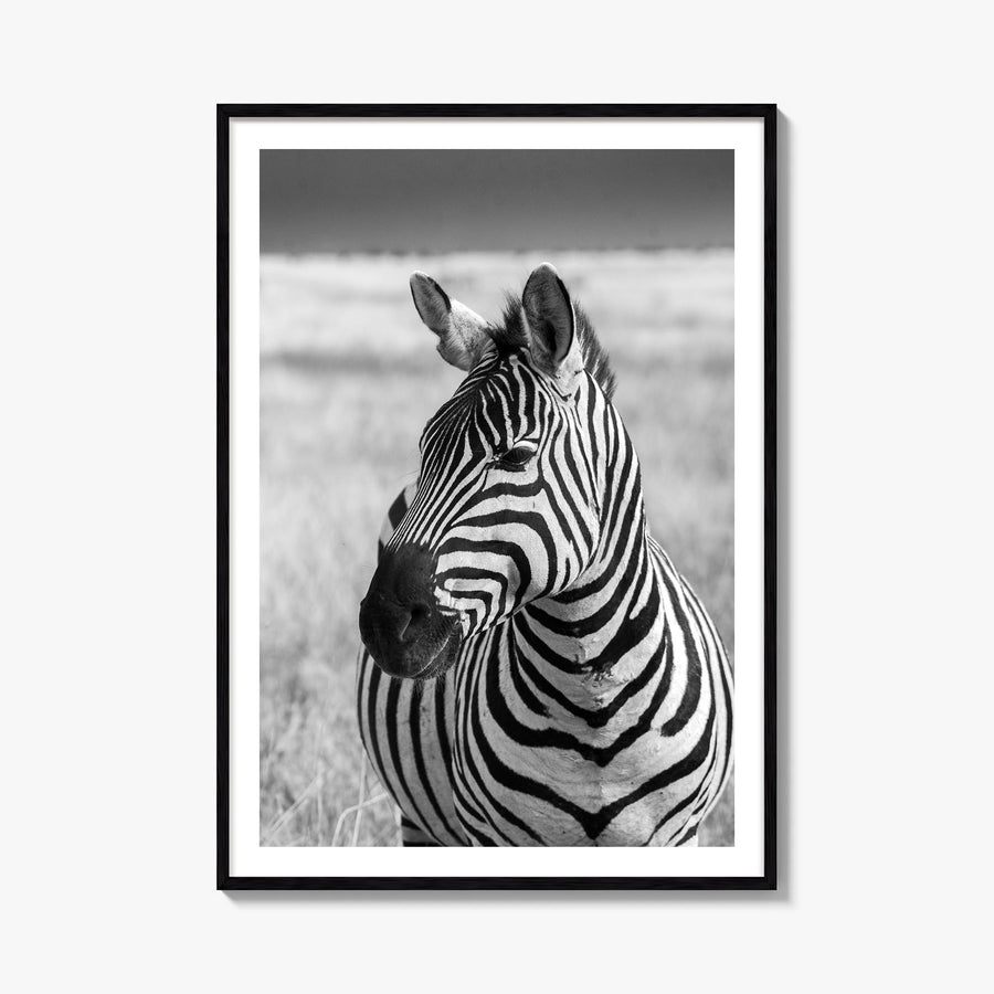 Zebra no. 1 black & white photo poster – vertical wall art, unframed print shown in interior mockup