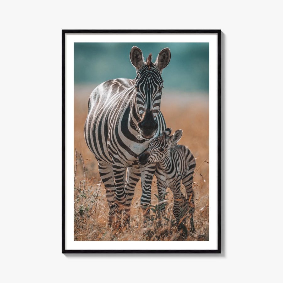 Zebra no. 1 colorful photo poster – vertical wall art, unframed print shown in interior mockup