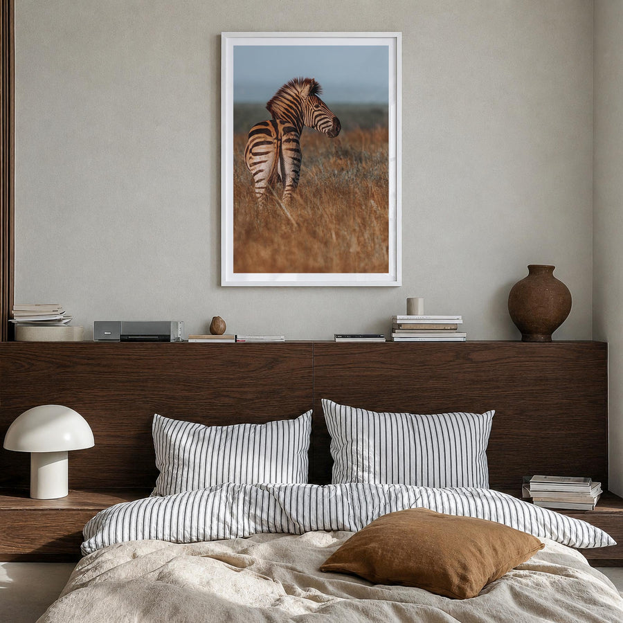 Zebra no. 2 colorful photo poster – vertical wall art in white wood frame with white border, hanging on wall