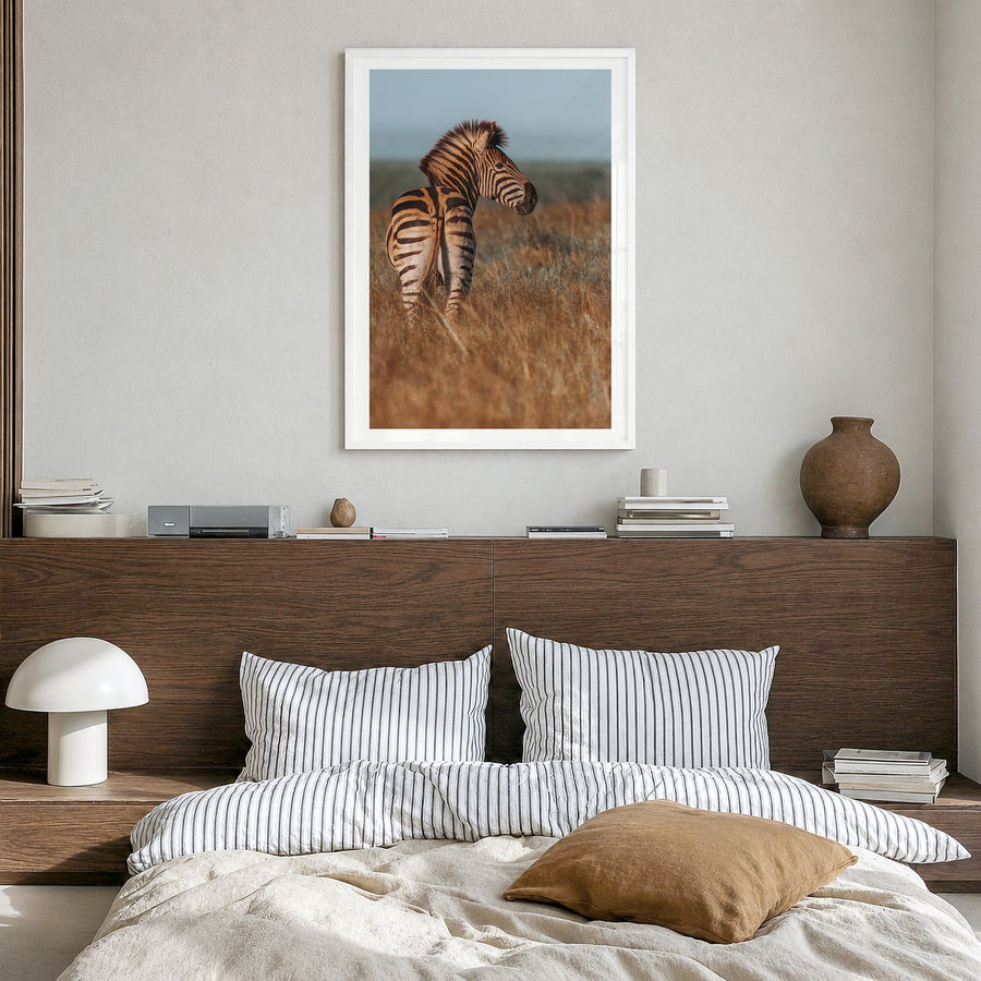 Zebra Photo No 2 Poster in a white wood frame, hanging in a bedroom, white border