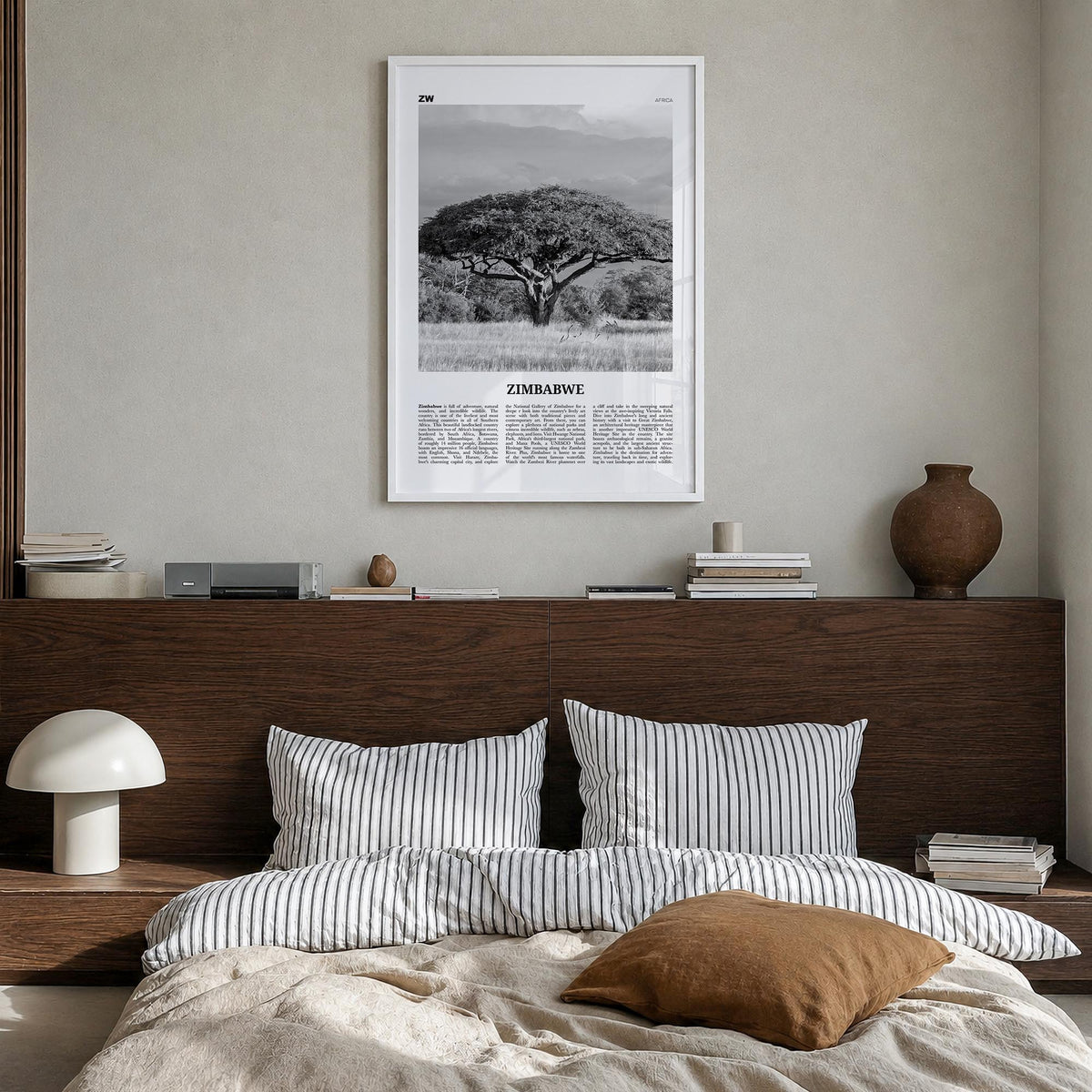 Zimbabwe Newspaper Poster
