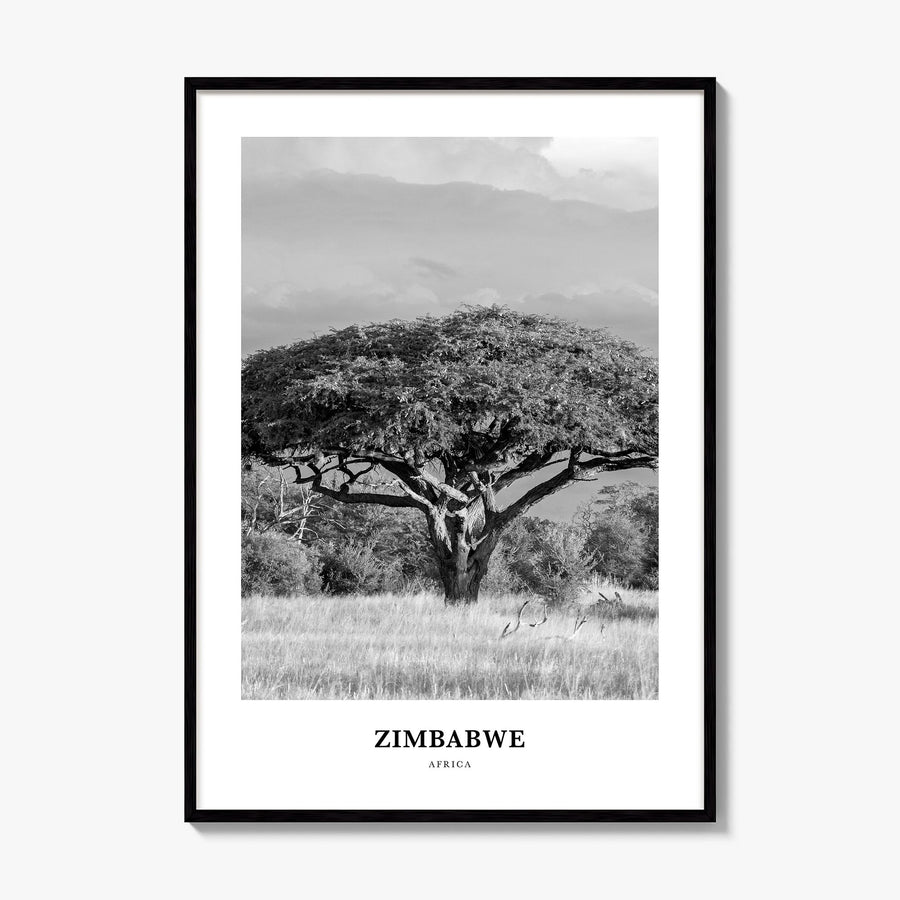 Zimbabwe Classic Poster, framed poster mockup