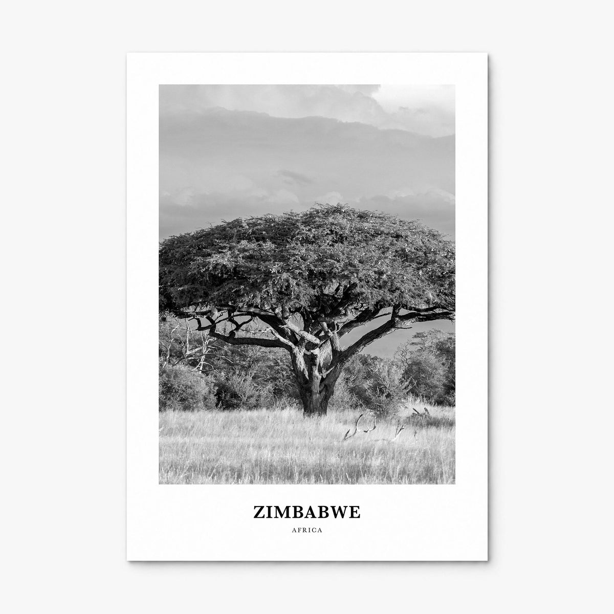 Zimbabwe Classic Poster, print only (unframed)