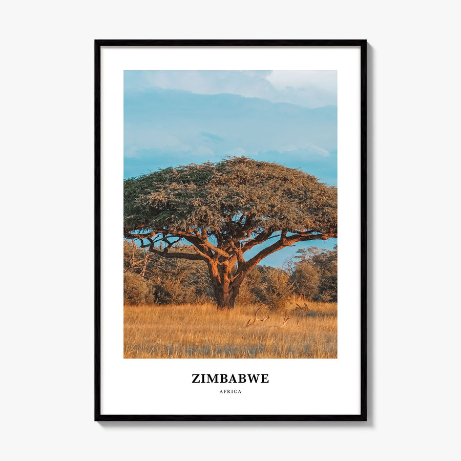 Zimbabwe Classic Poster, framed poster mockup