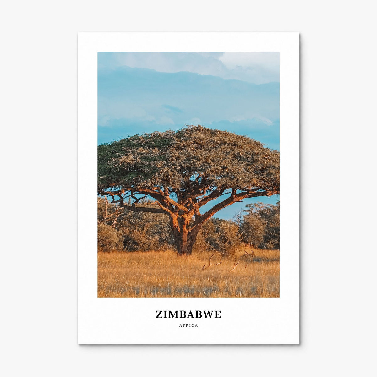 Zimbabwe Classic Poster, print only (unframed)