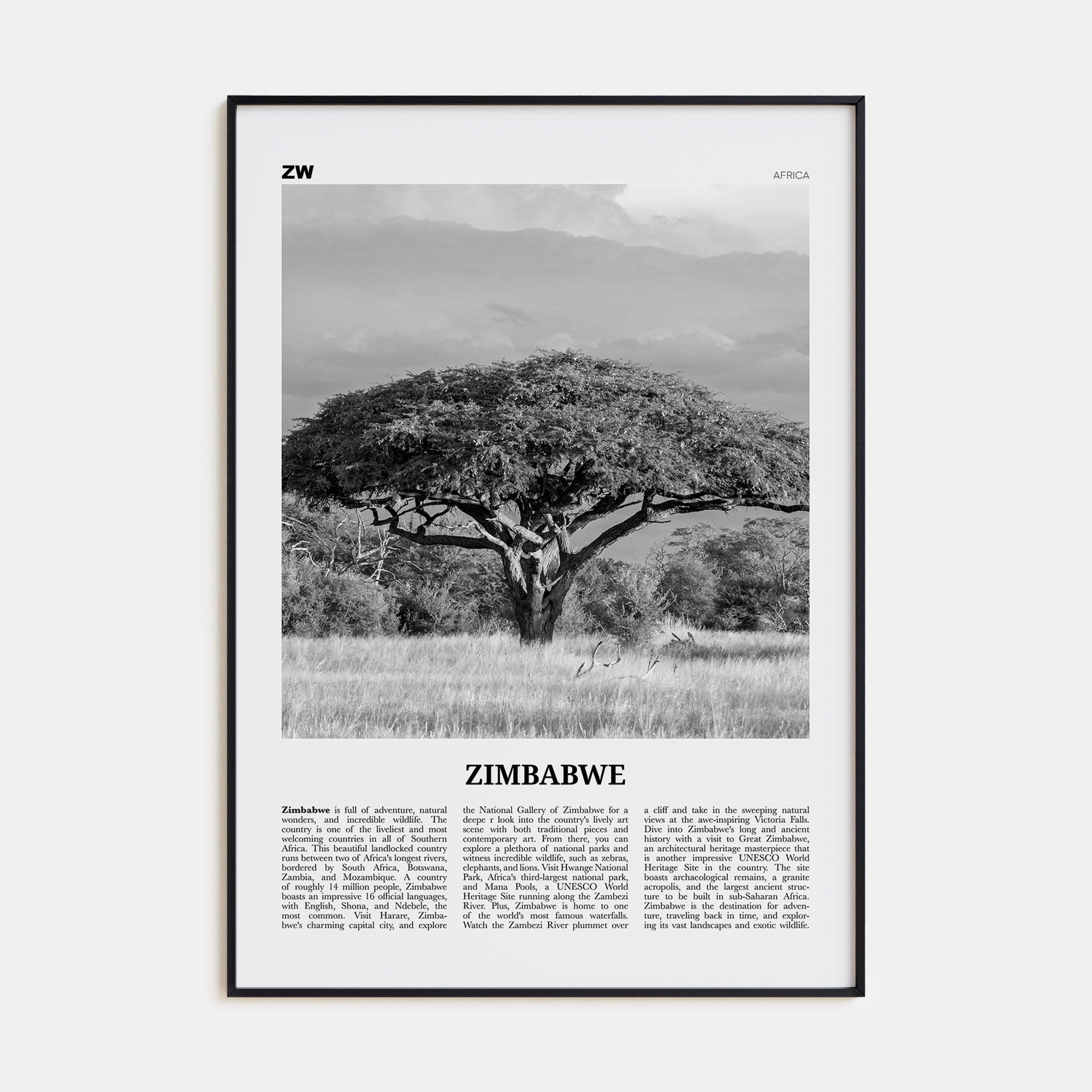 Zimbabwe Poster Black Metal / 8x12 in Nbourhood Travel B&W Poster