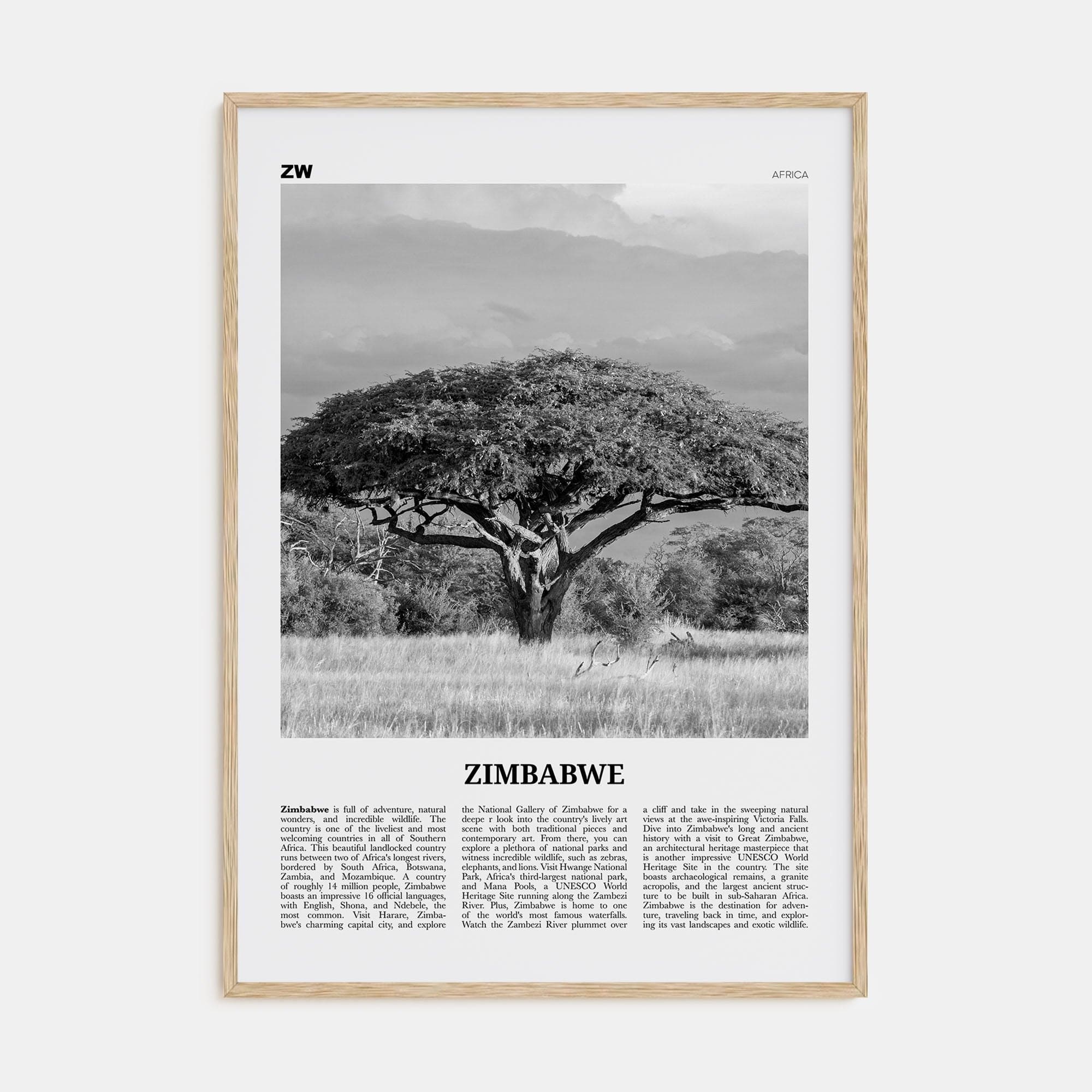 Zimbabwe Poster Natural Wood / 8x12 in Nbourhood Travel B&W Poster