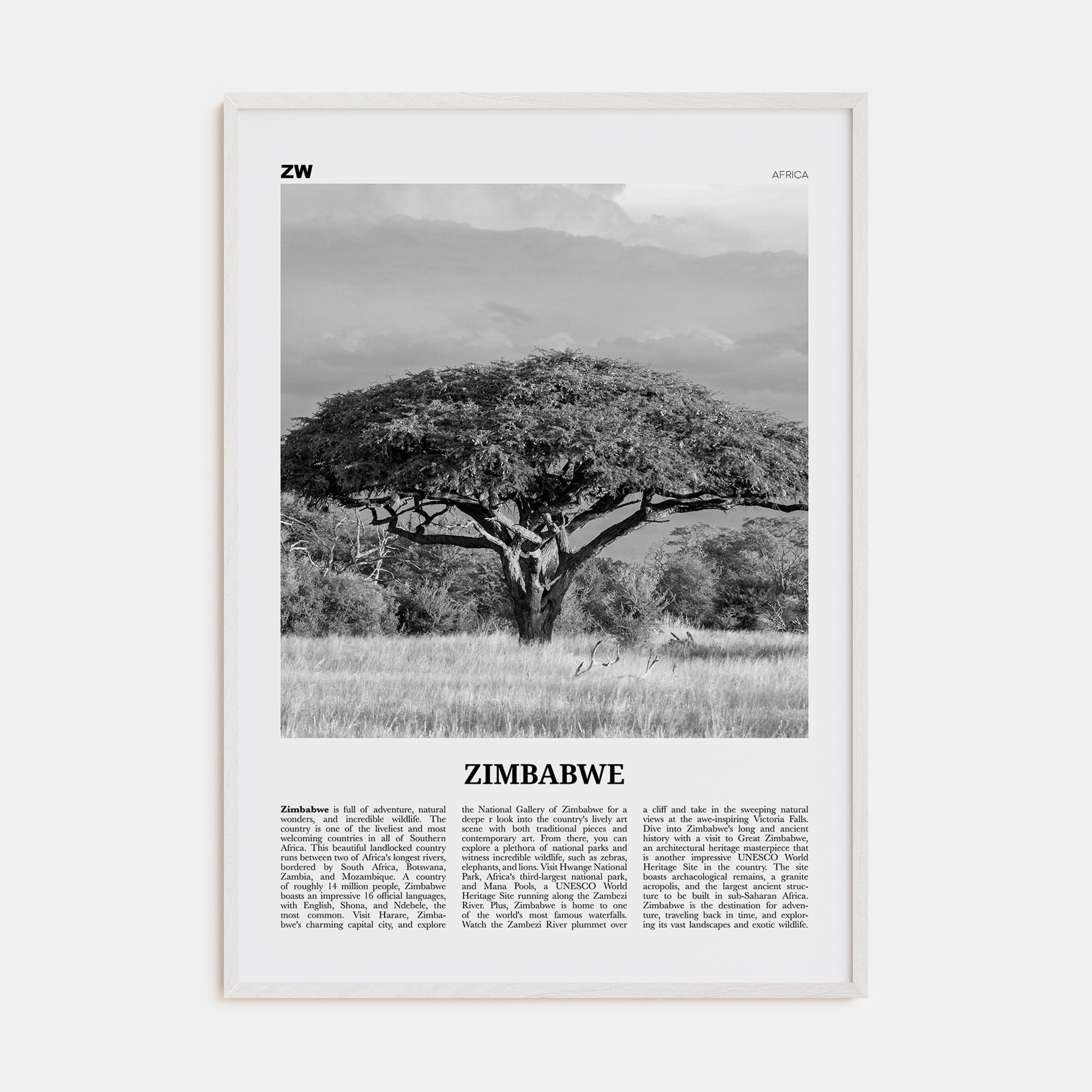 Zimbabwe Poster White Wood / 8x12 in Nbourhood Travel B&W Poster