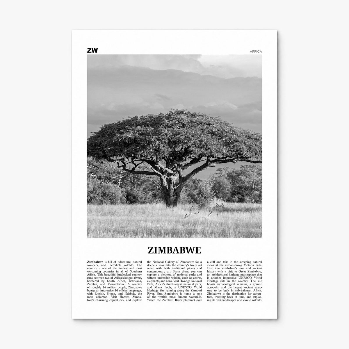 Zimbabwe Newspaper Poster, print only (unframed)