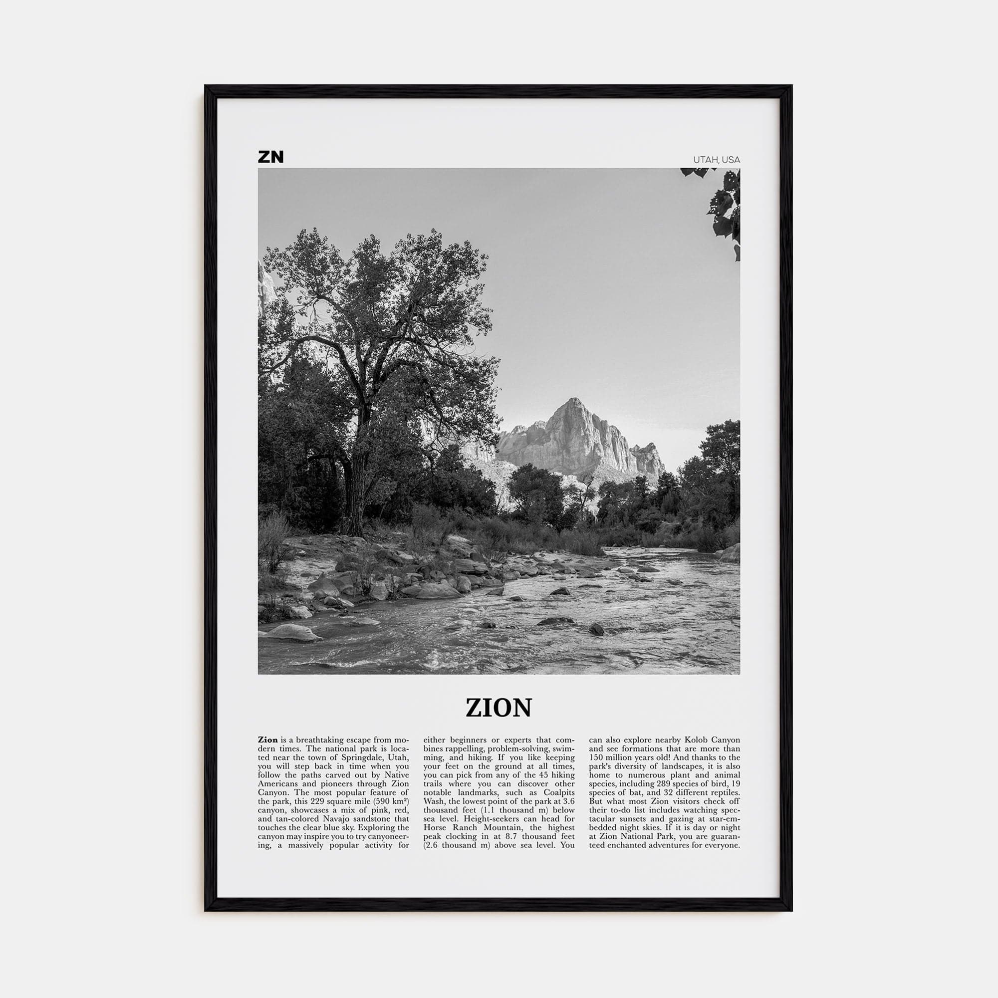 Zion National Park Poster Black Wood / 8x12 in Nbourhood Travel B&W Poster