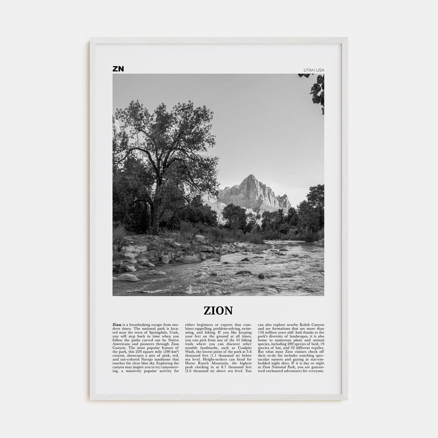 Zion National Park Poster White Wood / 8x12 in Nbourhood Travel B&W Poster