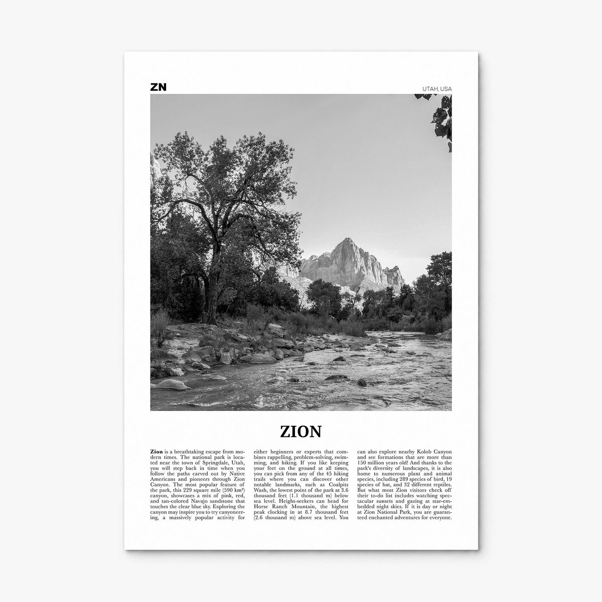 Zion National Park Newspaper Poster, print only (unframed)